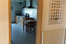 IMG-4155